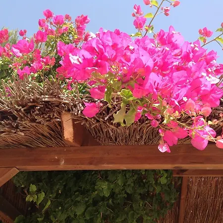 Klara, Boutiquehotel - -javea-moraira- Country house