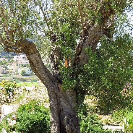 Casa rural Klara, Boutiquehotel - -javea-moraira- *