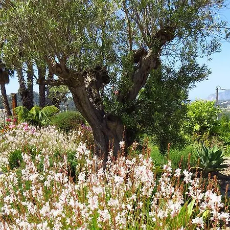 Klara, Boutiquehotel - -javea-moraira- Landhuis *